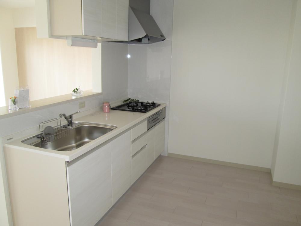 Kitchen. Indoor (March 2013) Shooting