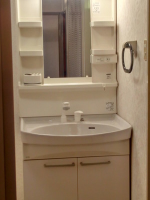 Other. Wash basin (shampoo dresser)