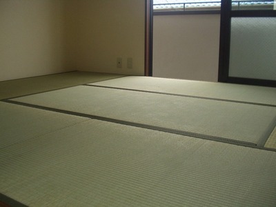 Living and room. Japanese style room