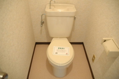 Toilet. Toilet