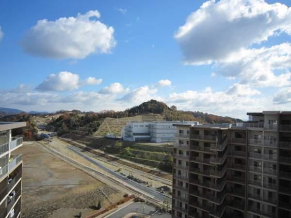 View photos from the dwelling unit. View from the top floor