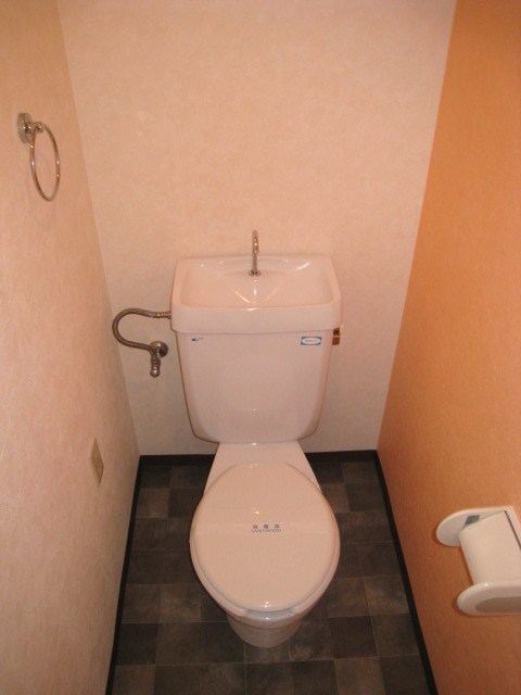 Toilet. The design cross was used in the floors and walls! 