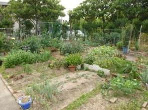 Other common areas. Common areas