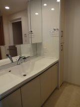 Other introspection. Washbasin with shower!