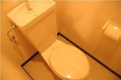 Toilet. Toilet