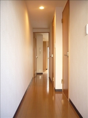 Entrance. Entrance ~ Corridor