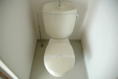 Toilet. Toilet