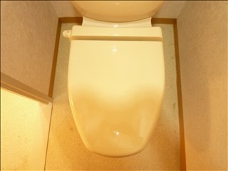 Toilet. Toilet