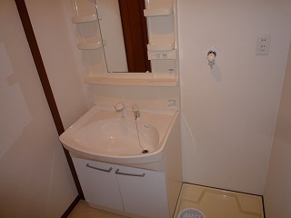 Washroom. Shampoo dresser