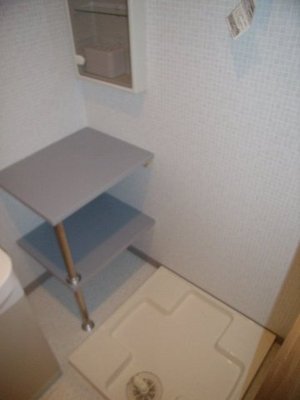 Washroom. There is also a shelf in Laundry Area Horizontal. 