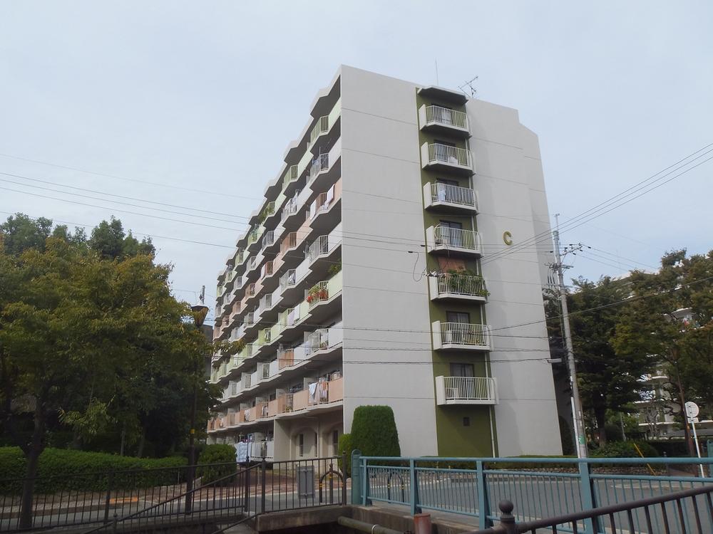 Local appearance photo. Local (10 May 2013) Shooting