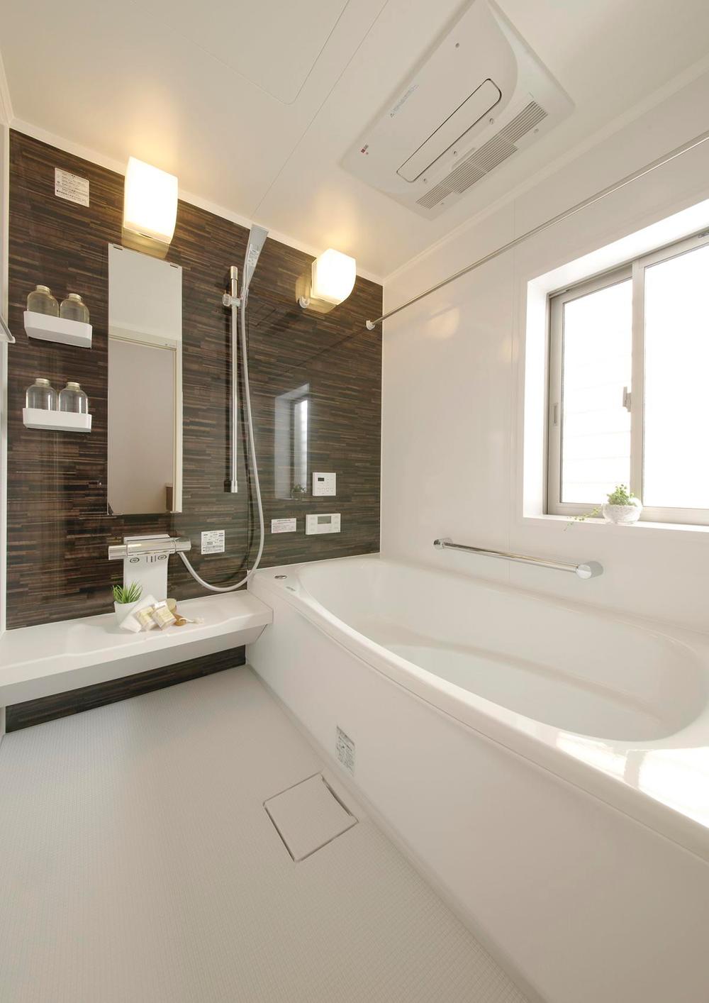 Bathroom. Put in a leisurely, Mist sauna with bathroom