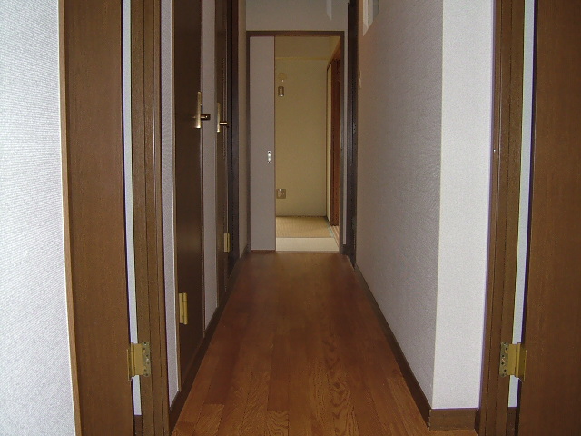 Entrance. Corridor