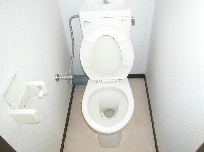 Toilet. Toilet