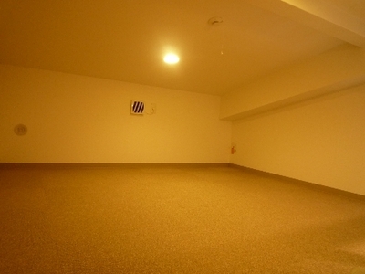 Other. loft