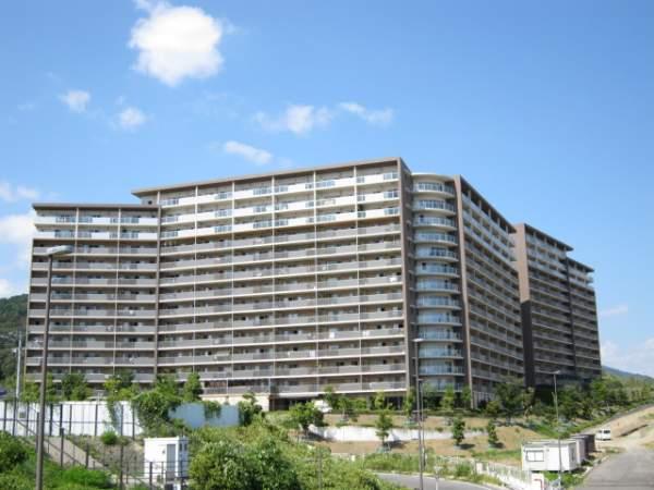 Local appearance photo. February 2007 construction