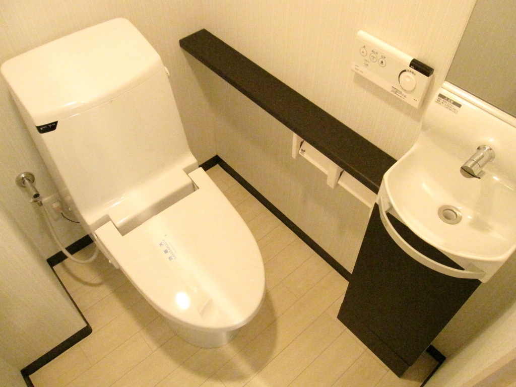 Toilet. WC with a hand-washing facilities