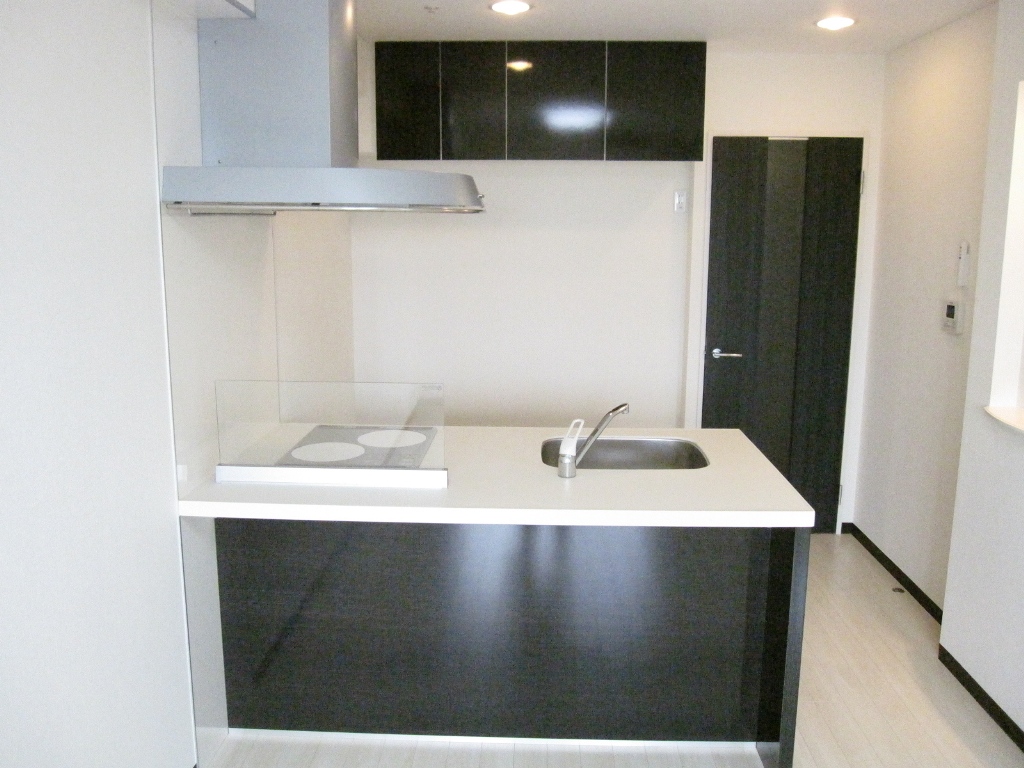 Kitchen. Island type system Kitchen