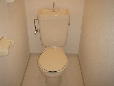 Toilet. Toilet