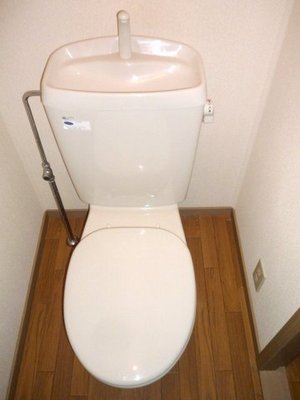 Toilet. Toilet with cleanliness