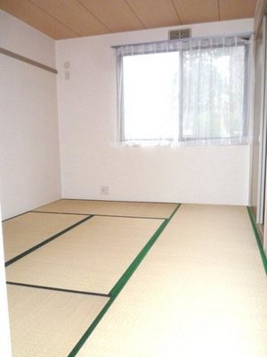 Living and room. Large closet with an attractive Japanese-style