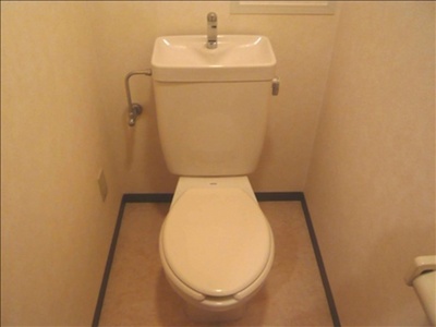 Toilet. Toilet