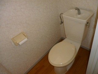 Toilet. Toilet