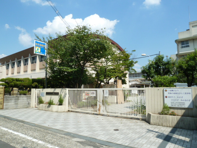 Primary school. 1131m to Ibaraki Municipal Tamakushi elementary school (elementary school)