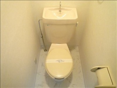 Toilet. Toilet