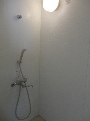 Bath. shower room