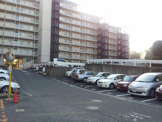 Parking lot. Common areas