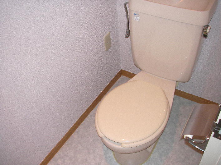 Toilet. Toilet