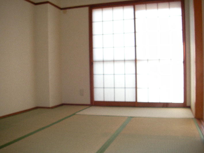 Other room space. Japanese style room