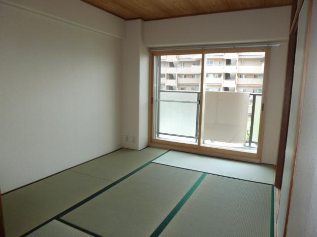 Other room space. Japanese style room