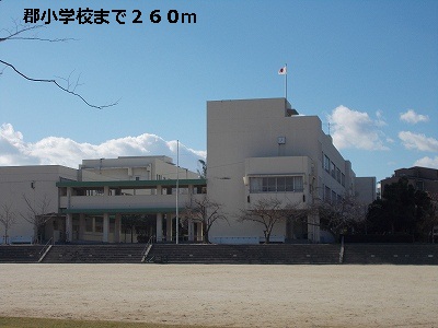 Primary school. County until the elementary school (elementary school) 260m