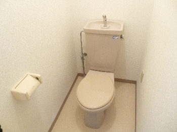 Toilet. Toilet