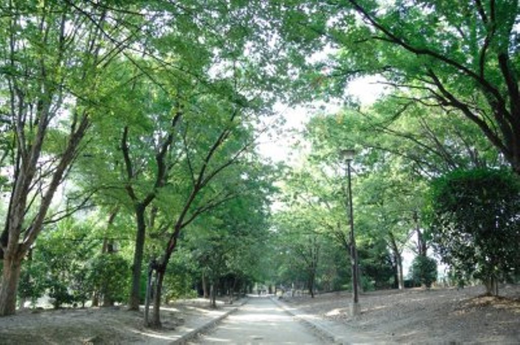 park. 698m to the original Ibaraki River green space (park)
