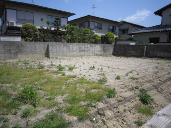 Local land photo. Facing south