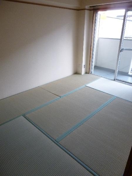 Other room space. Japanese style room