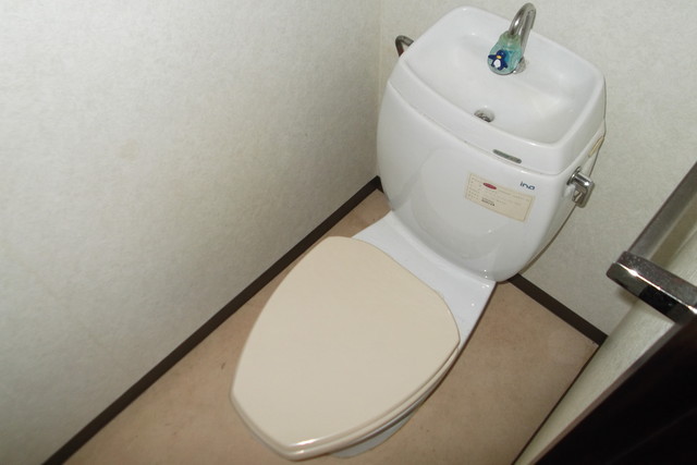 Toilet. Of course, Western-style toilet