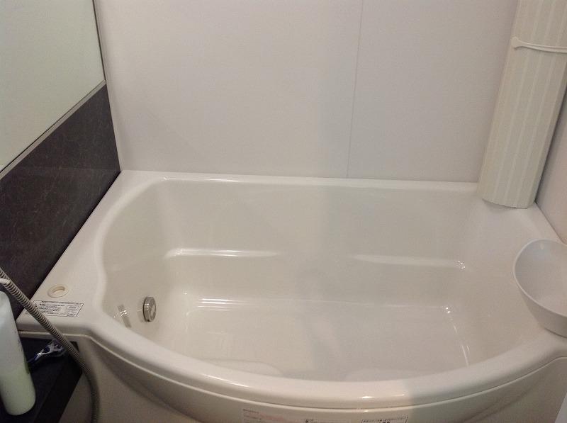 Bathroom. Would sitz bath how in egg-shaped tub