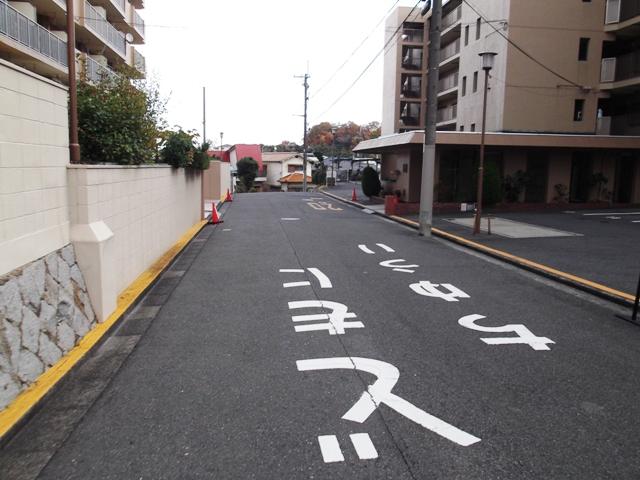 Other local. Local (12 May 2013) Shooting