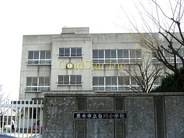 Primary school. Ibaraki 1160m to stand Shirakawa Elementary School