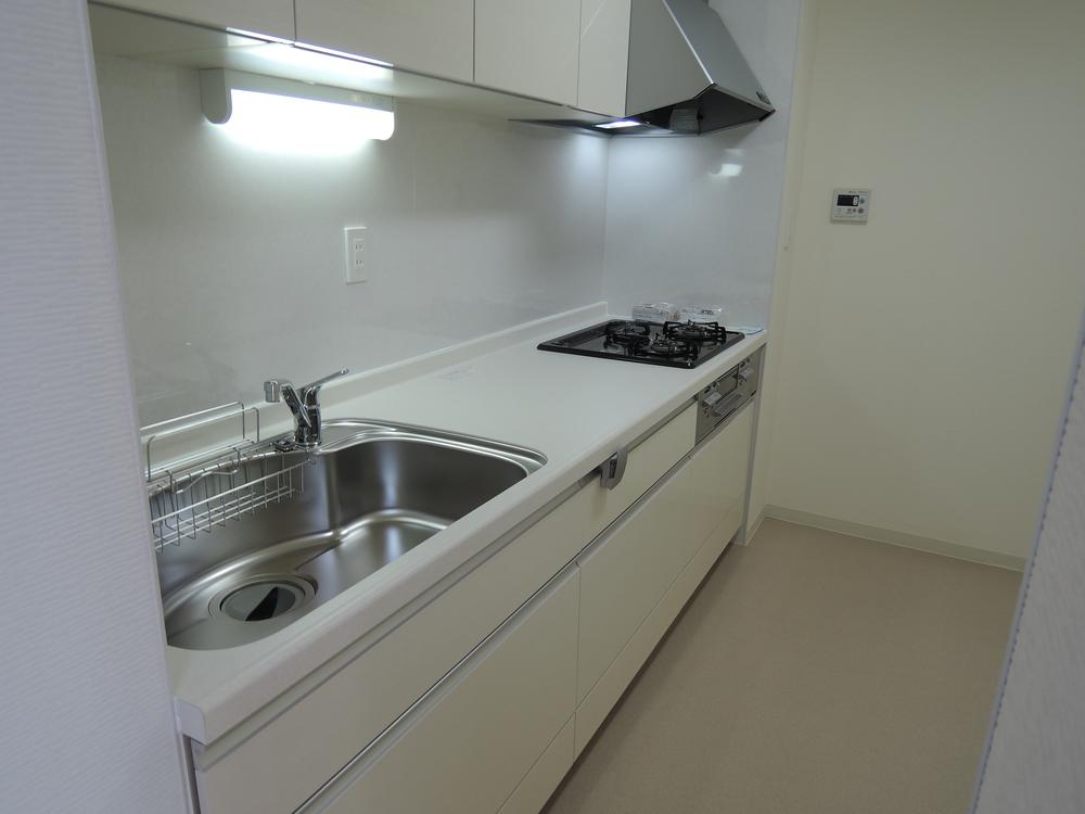 Kitchen. Indoor (11 May 2013) Shooting