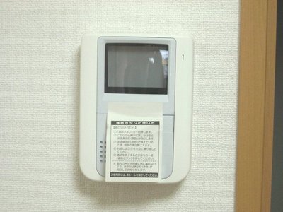 Security. TV with monitor phone