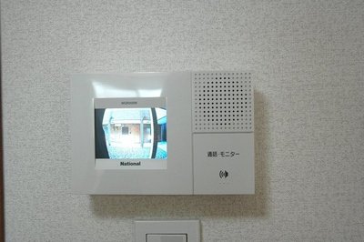Security. TV with monitor phone