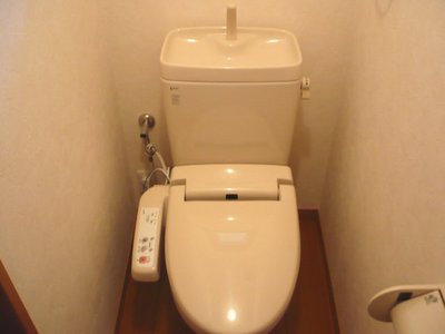 Toilet. Bidet