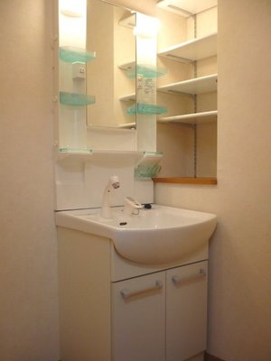 Washroom. Shampoo dresser