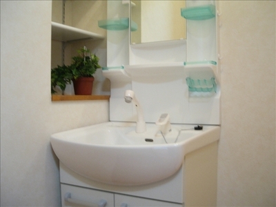 Living and room. Shampoo dresser