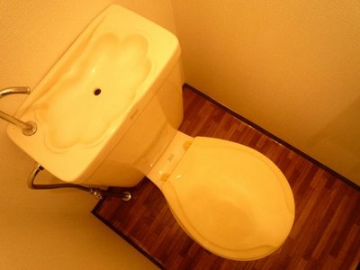 Toilet. Toilet